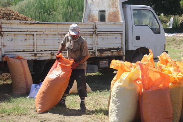 Foto - Yılda sadece 1,5 ay çalışıyorlar! Bu işi yapan saatte 3 bin 500 TL kazanıyor