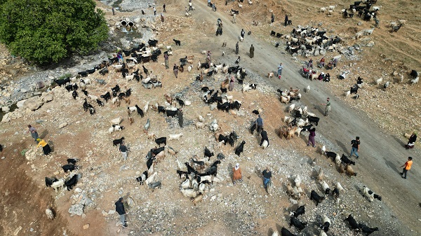 Foto - Yılda sadece 6 ay çalışıyorlar! Aylık kazançları duyunca çok şaşıracaksınız