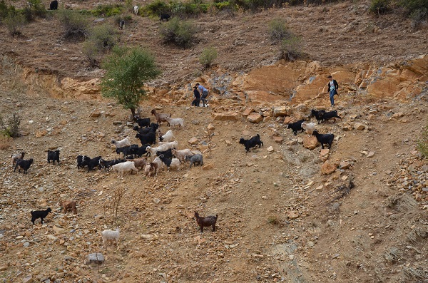 Foto - Yılda sadece 6 ay çalışıyorlar! Aylık kazançları duyunca çok şaşıracaksınız