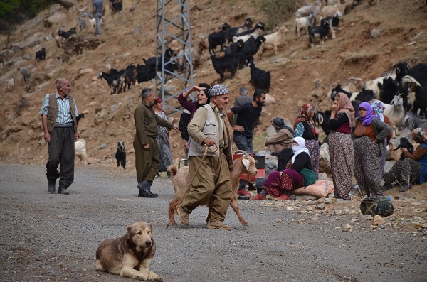 Foto - Yılda sadece 6 ay çalışıyorlar! Aylık kazançları duyunca çok şaşıracaksınız