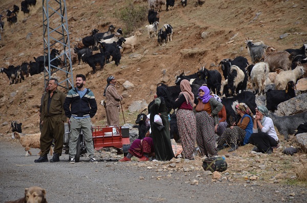 Foto - Yılda sadece 6 ay çalışıyorlar! Aylık kazançları duyunca çok şaşıracaksınız