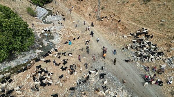 Foto - Yılda sadece 6 ay çalışıyorlar! Aylık kazançları duyunca çok şaşıracaksınız