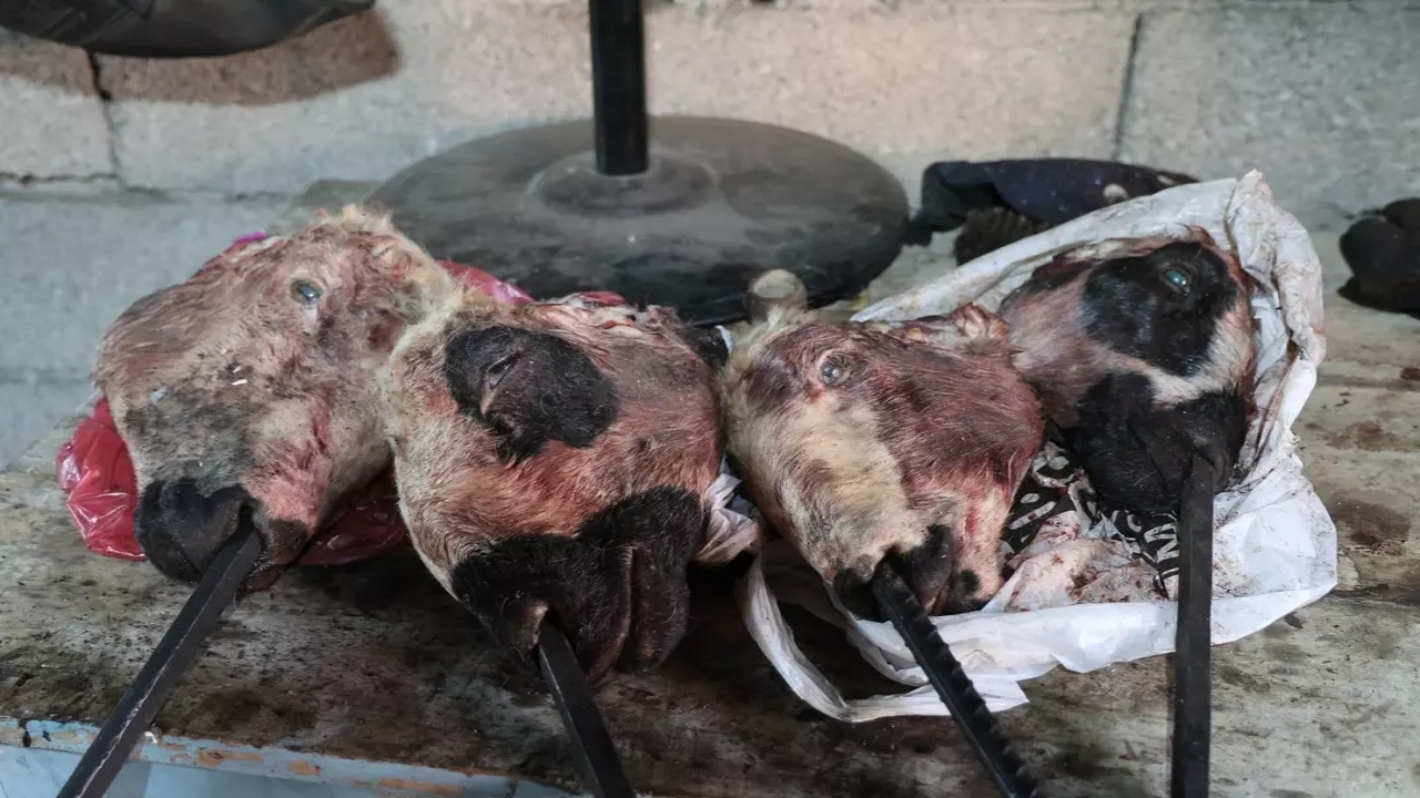 Foto - Yılda sadece ve sadece üç gün çalışıyorlar! Günlük ücretleri tam 4 bin TL