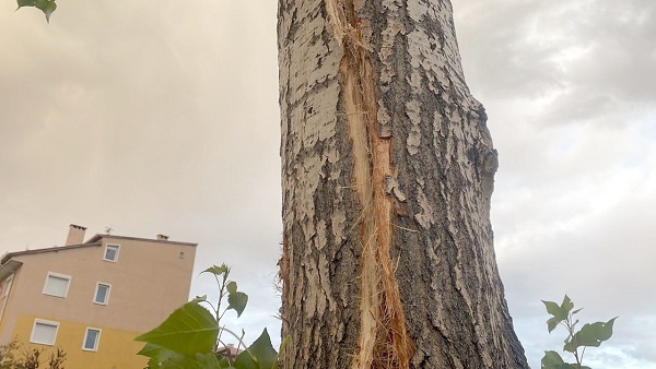 Yıldırım düştü! Ses böyle korkuttu