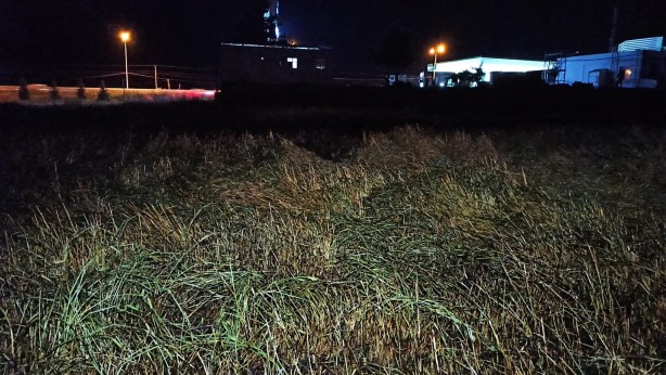 Yıldırımın düştüğü tarla alev alev yandı