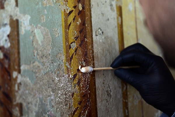 Foto - Yıldız Sarayı'nda bulundu! Hayran bıraktı