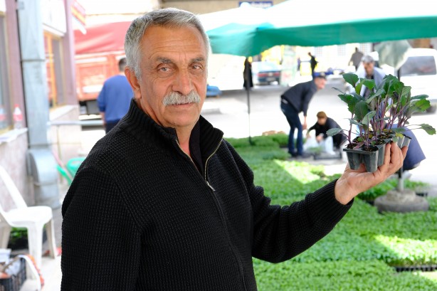 Foto - Yılın ilk fideleri seralardan tezgahlara taşındı