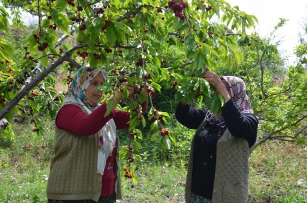 Foto - Yılın ilk yarısında 129 milyon dolarlık kiraz ihracatı
