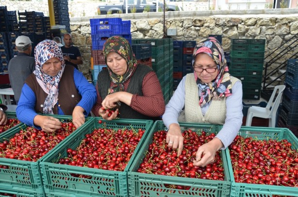 Foto - Yılın ilk yarısında 129 milyon dolarlık kiraz ihracatı