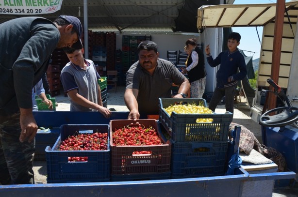 Foto - Yılın ilk yarısında 129 milyon dolarlık kiraz ihracatı