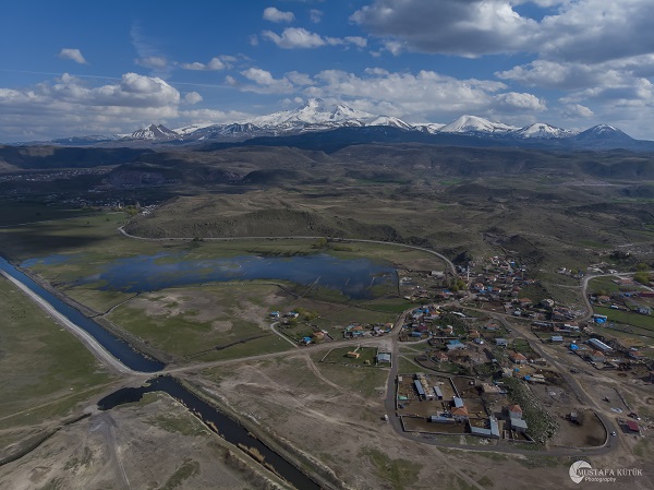 Foto - Yılkı atlarıyla meşhur Hürmetçi Sazlığı