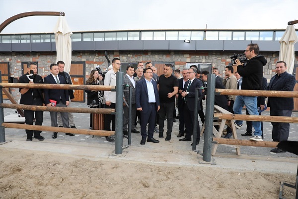 Foto - Yılkı atlarıyla meşhur Hürmetçi Sazlığı