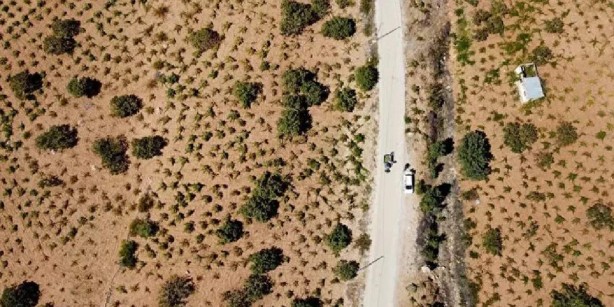 Yıllar önce bir ziraat mühendisi aşıladı! Şimdi bölgedekileri ihya etti! Paraya para demiyorlar