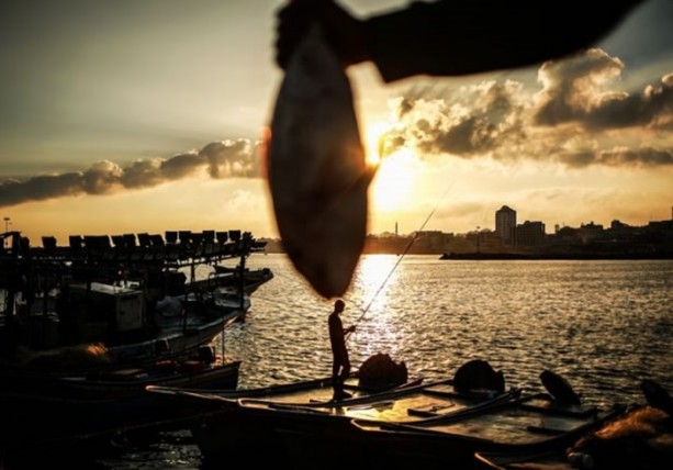 Foto - Yıllar sonra Gazze'de bir ilk