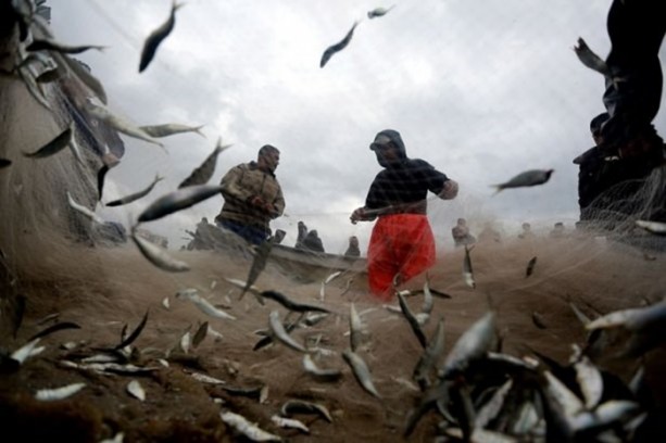 Foto - Yıllar sonra Gazze'de bir ilk