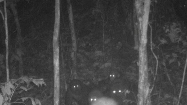 Yıllar sonra ortaya çıktılar! Dünya bu görüntüleri konuşuyor