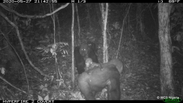 Foto - Yıllar sonra ortaya çıktılar! Dünya bu görüntüleri konuşuyor