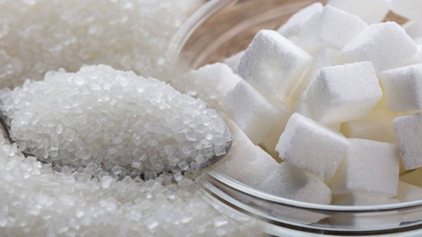 Foto - Yıllarca "sağlığa zararlı" deyip yedirmemişlerdi! Canan Karatay beynin gıdası besini açıkladı: Onu yemezsek kafamız durur