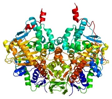 Foto - Yıllarca sağlıklı diye tükettik! Tansiyonu yerle bir eden besin açıklandı