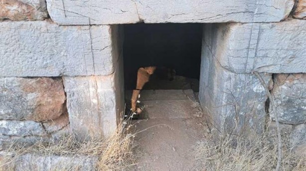 Foto - Yıllarca türbe sanılan yer bakın ne çıktı