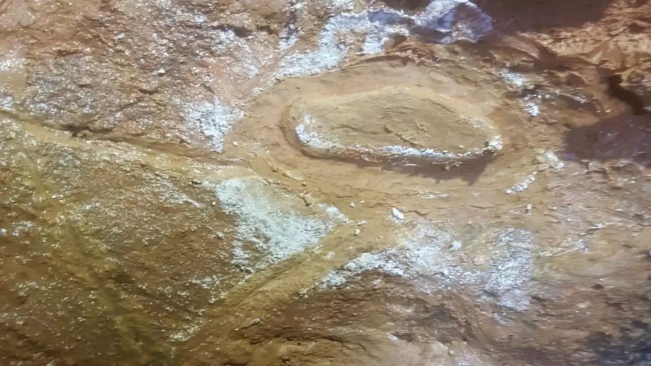 Foto - Yıllardır aranıyordu, Bursa’da bulduğunu iddia etti! Mustafa abi, yerini söylemek için tam 50 milyon dolar istiyor! Tüm dünya şaşkın