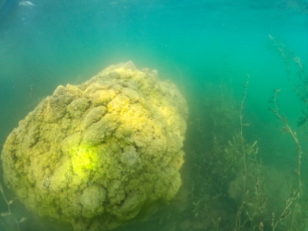 Foto - Yıllardır keşfedilmeyi bekliyordu! Batık şehirden inanılmaz görüntüler