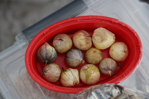 Foto - Yıllardır uğraşıyor ücretsiz dağıtıyor