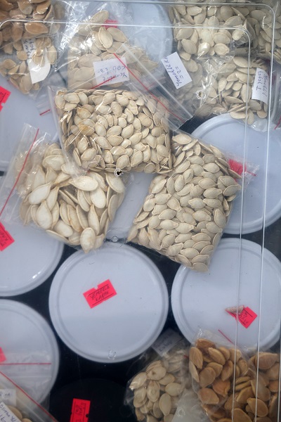 Foto - Yıllardır uğraşıyor ücretsiz dağıtıyor