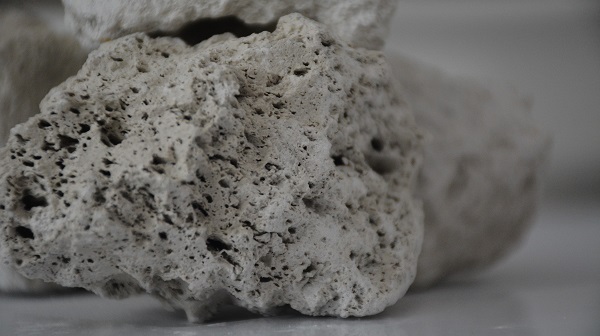 Foto - Yıllık 3 milyarlık gelir elde ediliyor | Günde 250 kamyon ihraç ediliyor!