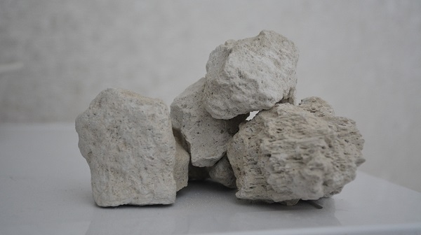 Foto - Yıllık 3 milyarlık gelir elde ediliyor | Günde 250 kamyon ihraç ediliyor!