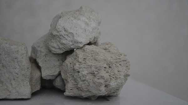 Foto - Yıllık 3 milyarlık gelir elde ediliyor | Günde 250 kamyon ihraç ediliyor!