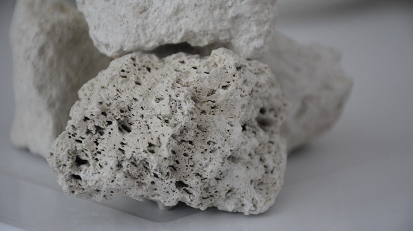 Yıllık 3 milyarlık gelir elde ediliyor | Günde 250 kamyon ihraç ediliyor!