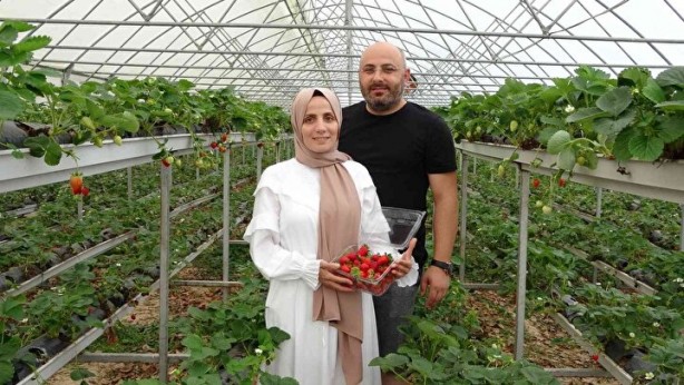 Yıllık 5 ton rekolteye ulaşıyorlar! "Taleplere yetişemiyoruz"