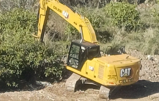 Foto - Yine CHP’li belediye, yine ağaç katliamı! Taşıyoruz dediler katlettiler