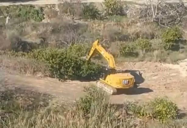 Foto - Yine CHP’li belediye, yine ağaç katliamı! Taşıyoruz dediler katlettiler