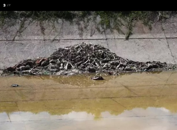 Yine millete eşek eti yedirmeye başladılar!