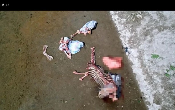 Foto - Yine millete eşek eti yedirmeye başladılar!