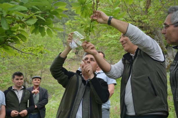 Foto - Yırtıcı böcekler o ilimize bırakıldı! Sebebi duyanları şaşkına çevirdi