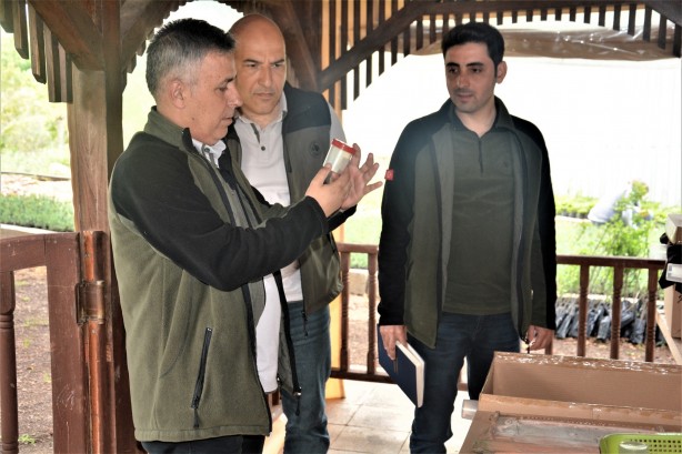 Foto - Yırtıcı böcekler o ilimize bırakıldı! Sebebi duyanları şaşkına çevirdi