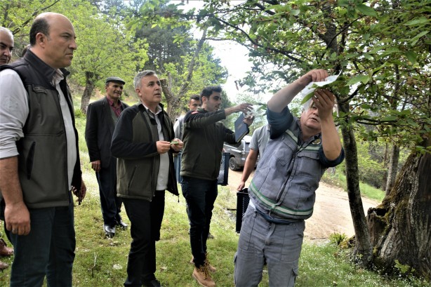 Foto - Yırtıcı böcekler o ilimize bırakıldı! Sebebi duyanları şaşkına çevirdi