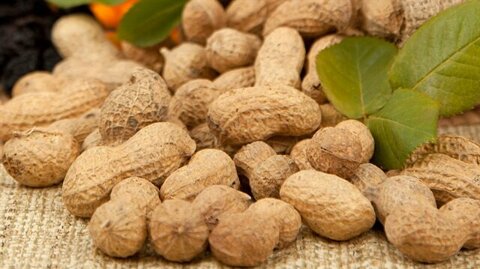 Foto - Yiyeceklerdeki büyük tehlike! Kanser yapıyor