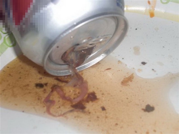 Yiyeceklerden çıkan korkunç şeyler