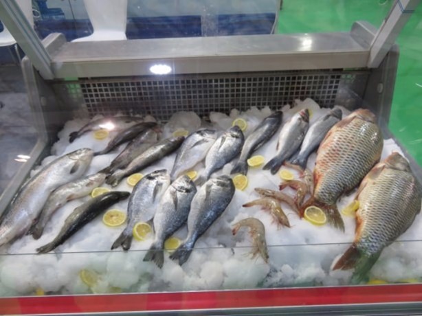 Foto - Yiyeceklerin bayat olup olmadığını böyle anlayın