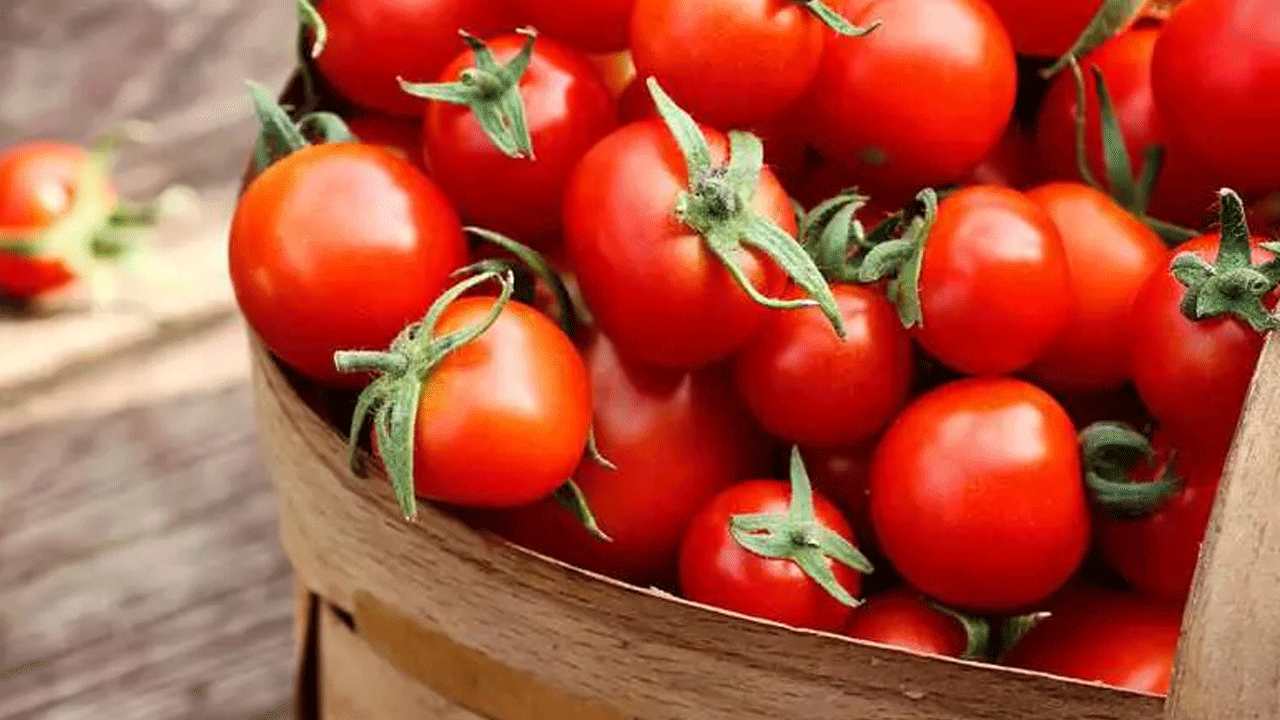 Foto - Yiyenlere hastalık nedir unutturuyor: Faydaları saymakla bitmiyor!