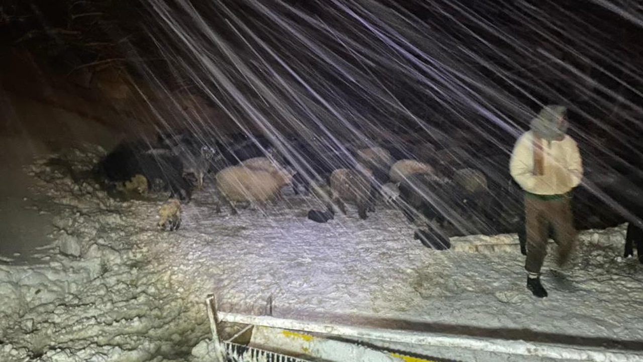 Foto - Yoğun kar yağışı ahırı çökertti! 50 küçükbaş telef oldu
