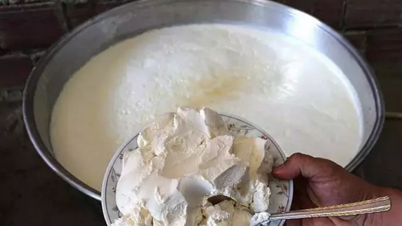 Foto - Yoğurda ekleyip uyumadan önce yiyin! Metabolizmayı ateşliyor: Bel çevresindeki yağı mum gibi eritmesi mümkün