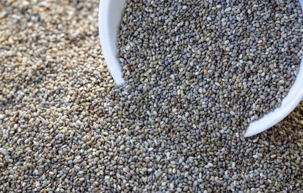 Foto - Yoğurdun içine bir kaşık atınca neler oluyor neler! Vücutta bayram ilan ediliyor