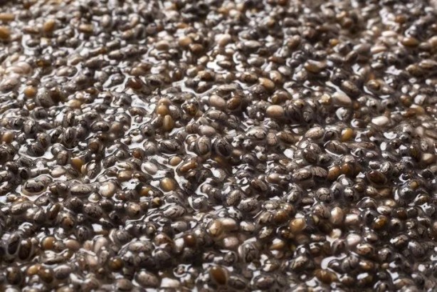 Foto - Yoğurdun içine bir kaşık atınca neler oluyor neler! Vücutta bayram ilan ediliyor