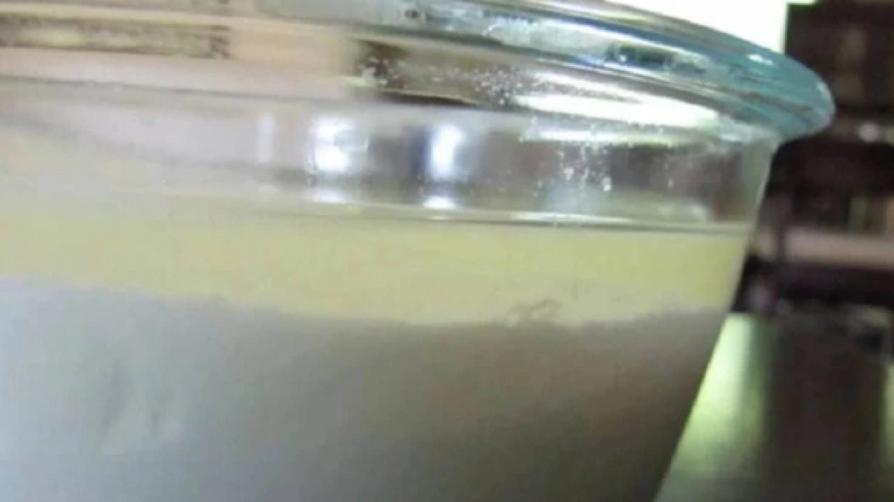 Foto - Bozuldu sanılarak dökülüyor: Meğer mineral ve protein deposuymuş!