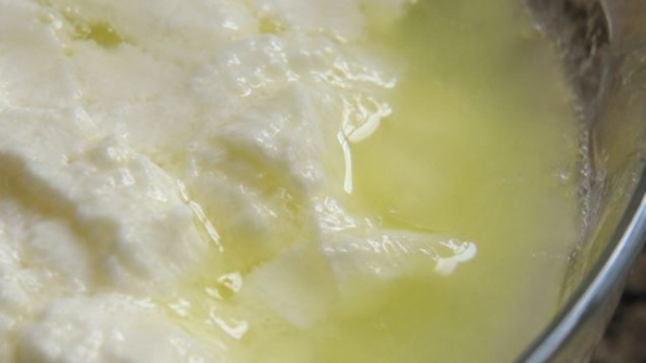 Foto - Bozuldu sanılarak dökülüyor: Meğer mineral ve protein deposuymuş!